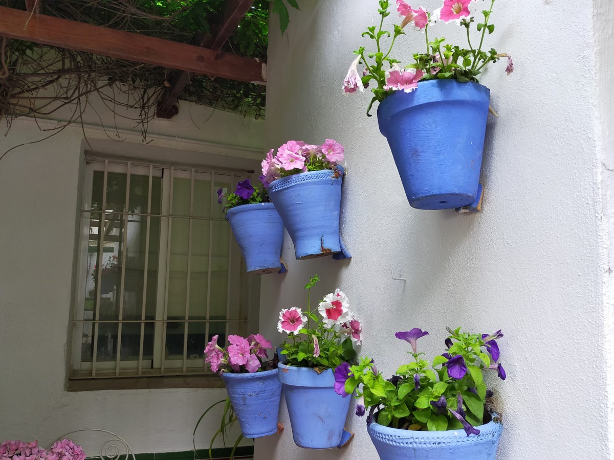 patio_abril2023